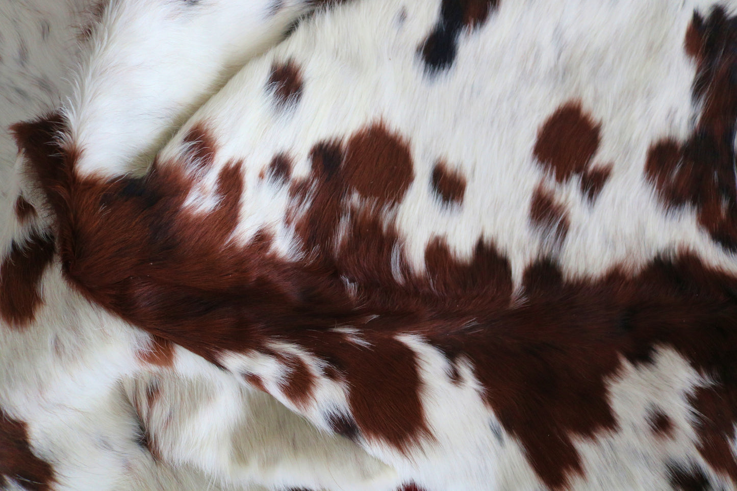 200216 - Cowhide Rug Tapis Peau de Vache -Collection Quebecuir Premium TRICOLOR