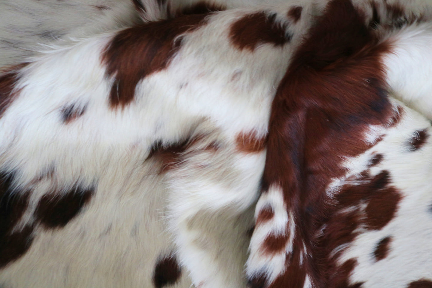 200216 - Cowhide Rug Tapis Peau de Vache -Collection Quebecuir Premium TRICOLOR