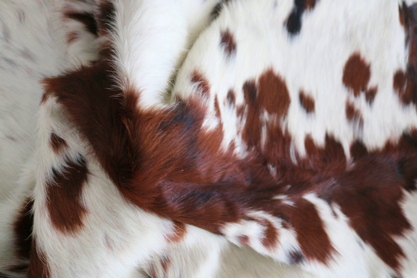 200216 - Cowhide Rug Tapis Peau de Vache -Collection Quebecuir Premium TRICOLOR