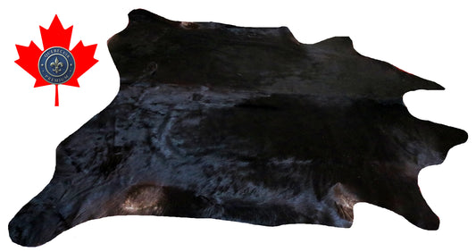 200219- Cowhide Rug Tapis Peau de Vache SUPER BIG SIZE XXXL - Collection Quebecuir Premium