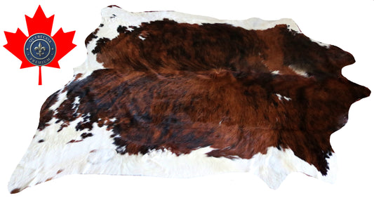 200220- Cowhide Rug Tapis Peau de Vache SUPER BIG SIZE XXXL - Collection Quebecuir Premium