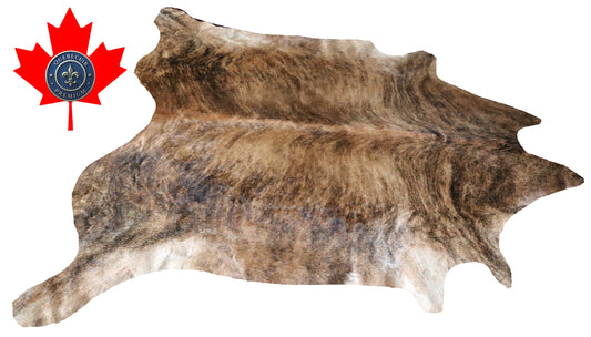200221- Cowhide Rug Tapis Peau de Vache SUPER BIG SIZE XXXL - Collection Quebecuir Premium