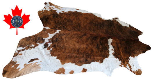 200226- Cowhide Rug Tapis Peau de Vache SUPER BIG SIZE XXXL - Collection Quebecuir Premium