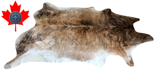 200232- Cowhide Rug Tapis Peau de Vache SUPER BIG SIZE XXXL - Collection Quebecuir Premium