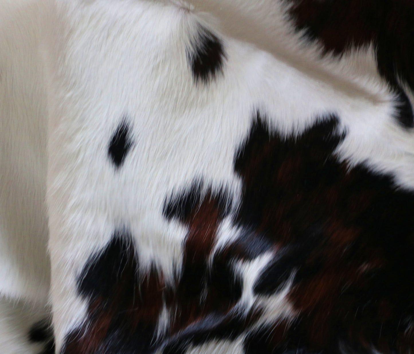 200237 - Cowhide Rug Tapis Peau de Vache -Collection Quebecuir Premium TRICOLOR