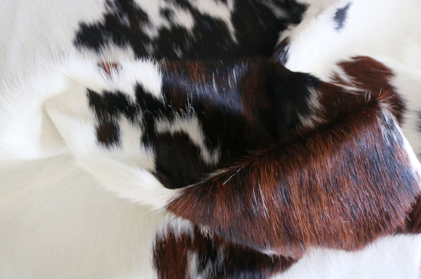 200237 - Cowhide Rug Tapis Peau de Vache -Collection Quebecuir Premium TRICOLOR