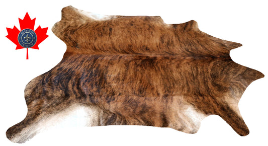 200239- Cowhide Rug Tapis Peau de Vache SUPER BIG SIZE XXXL - Collection Quebecuir Premium