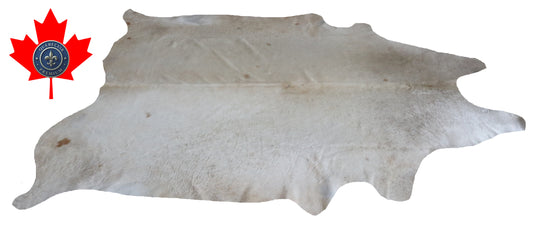 200260- Cowhide Rug Tapis Peau de Vache SUPER BIG SIZE XXXL - Collection Quebecuir Premium