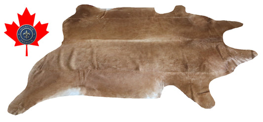200262- Cowhide Rug Tapis Peau de Vache SUPER BIG SIZE XXXL - Collection Quebecuir Premium