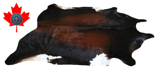 200264- Cowhide Rug Tapis Peau de Vache SUPER BIG SIZE XXXL - Collection Quebecuir Premium
