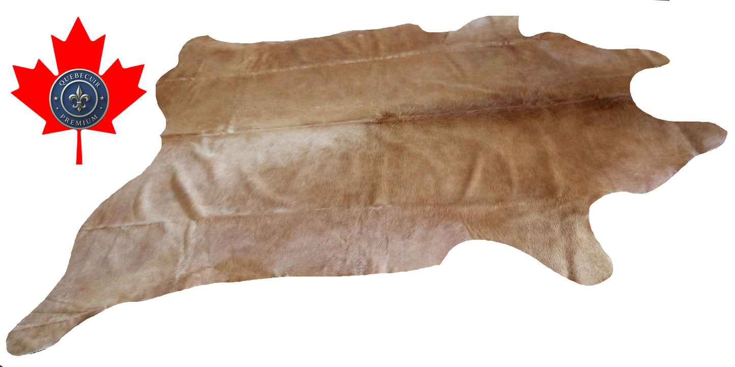 200281- Cowhide Rug Tapis Peau de Vache SUPER BIG SIZE XXXL - Collection Quebecuir Premium