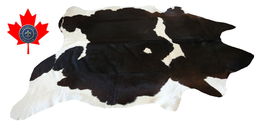 200288- Cowhide Rug Tapis Peau de Vache SUPER BIG SIZE XXXL - Collection Quebecuir Premium