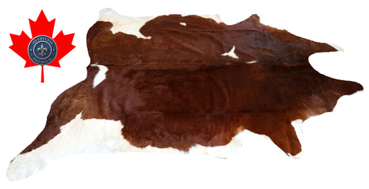 200291- Cowhide Rug Tapis Peau de Vache SUPER BIG SIZE XXXL - Collection Quebecuir Premium