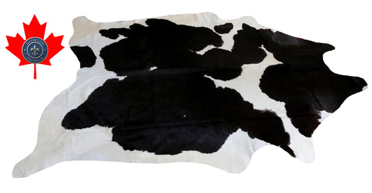 200303- Cowhide Rug Tapis Peau de Vache SUPER BIG SIZE XXXL - Collection Quebecuir Premium