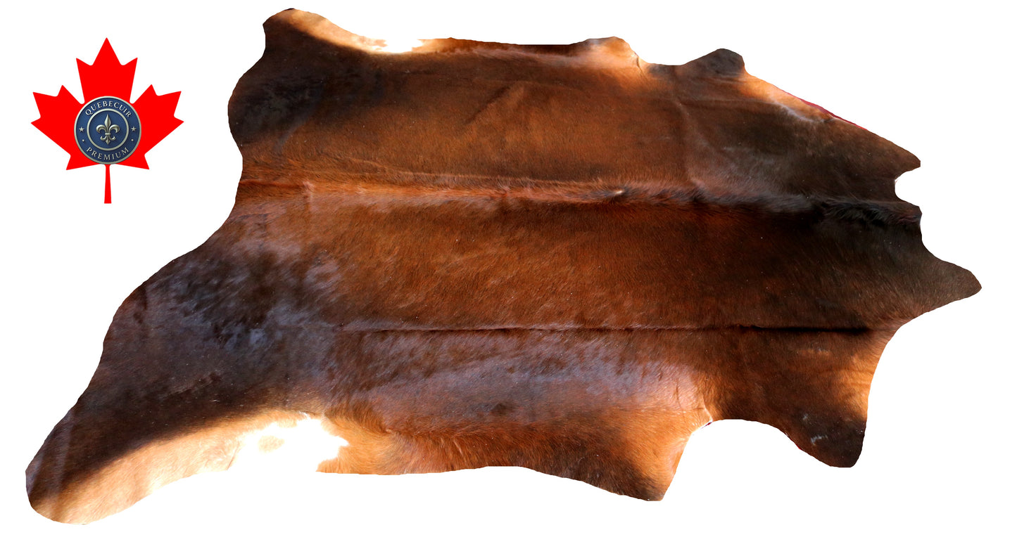 200305- Cowhide Rug Tapis Peau de Vache SUPER BIG SIZE XXXL - Collection Quebecuir Premium