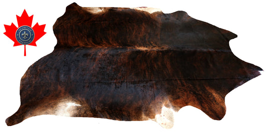200306- Cowhide Rug Tapis Peau de Vache SUPER BIG SIZE XXXL - Collection Quebecuir Premium