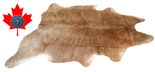 200313- Cowhide Rug Tapis Peau de Vache SUPER BIG SIZE XXXL - Collection Quebecuir Premium
