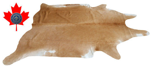 200319- Cowhide Rug Tapis Peau de Vache SUPER BIG SIZE XXXL - Collection Quebecuir Premium