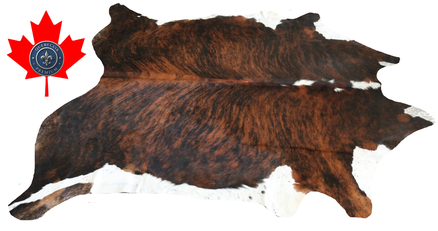 200320- Cowhide Rug Tapis Peau de Vache SUPER BIG SIZE XXXL - Collection Quebecuir Premium