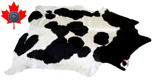 200321- Cowhide Rug Tapis Peau de Vache SUPER BIG SIZE XXXL - Collection Quebecuir Premium
