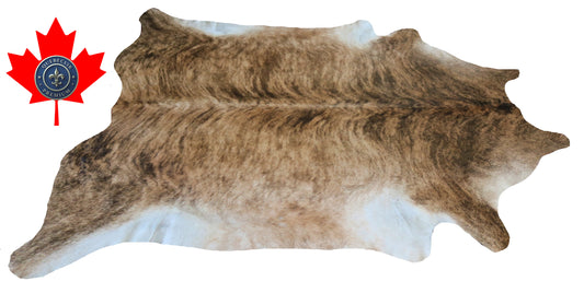 200323- Cowhide Rug Tapis Peau de Vache SUPER BIG SIZE XXXL - Collection Quebecuir Premium