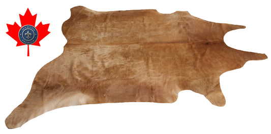 200324- Cowhide Rug Tapis Peau de Vache SUPER BIG SIZE XXXL - Collection Quebecuir Premium