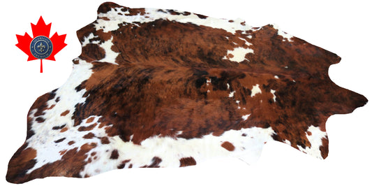 200326- Cowhide Rug Tapis Peau de Vache SUPER BIG SIZE XXXL - Collection Quebecuir Premium