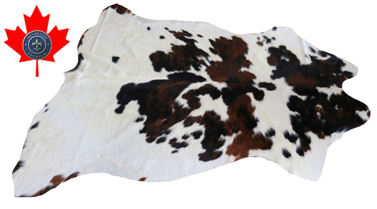 200340- Cowhide Rug Tapis Peau de Vache -Collection Quebecuir Premium TRICOLOR