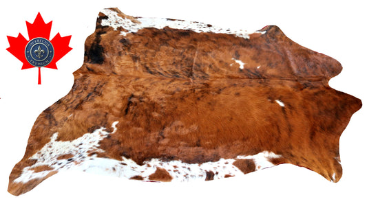 200343- Cowhide Rug Tapis Peau de Vache -Collection Quebecuir Premium TRICOLOR