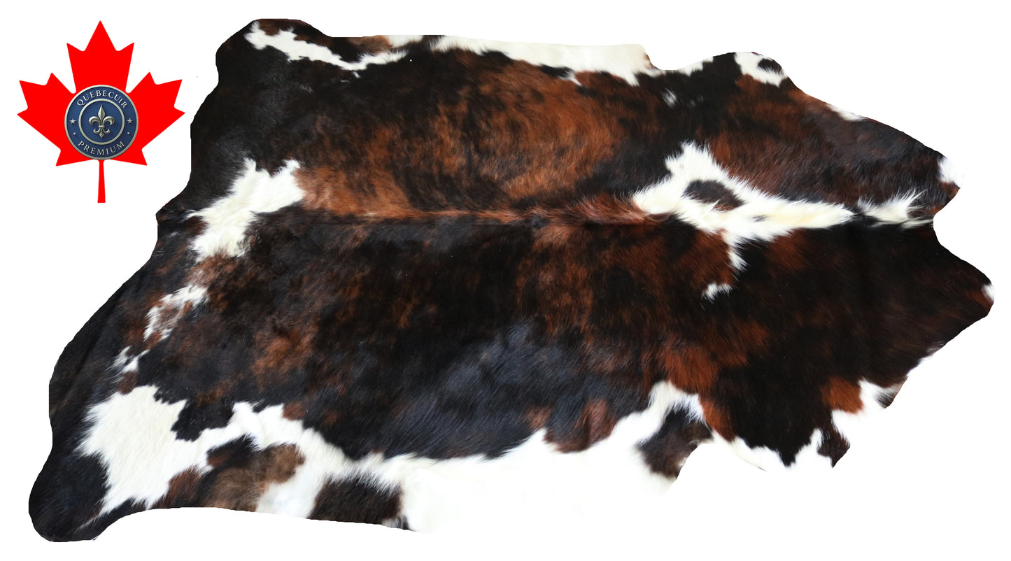 200344- Cowhide Rug Tapis Peau de Vache -Collection Quebecuir Premium TRICOLOR