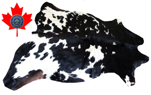 200348- Cowhide Rug Tapis Peau de Vache -Collection Quebecuir Premium