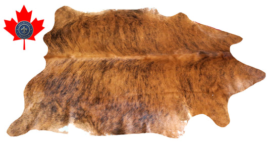 200349- Cowhide Rug Tapis Peau de Vache -Collection Quebecuir Premium