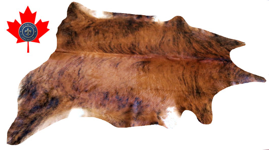 200352- Cowhide Rug Tapis Peau de Vache -Collection Quebecuir Premium