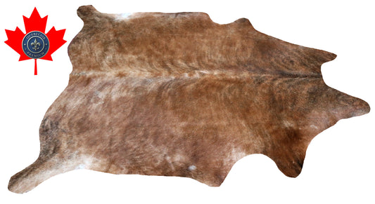 200356- Cowhide Rug Tapis Peau de Vache -Collection Quebecuir Premium