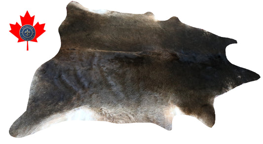 200357- Cowhide Rug Tapis Peau de Vache -Collection Quebecuir Premium