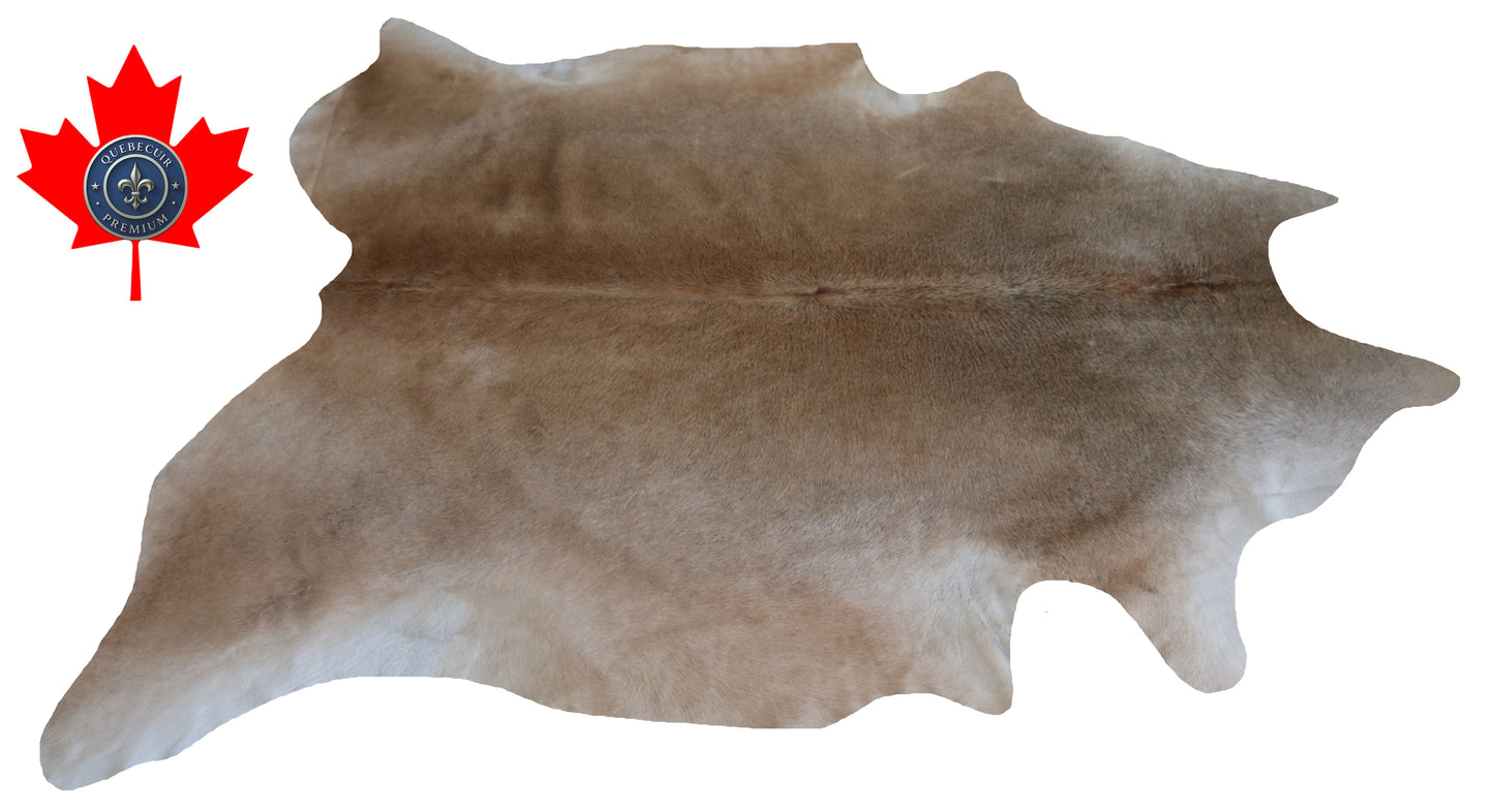200362- Cowhide Rug Tapis Peau de Vache -Collection Quebecuir Premium