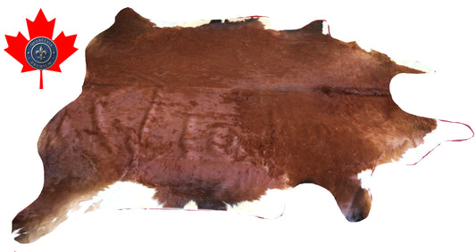 200365 - Cowhide Rug Tapis Peau de Vache -BIG SIZE XL Collection Quebecuir Premium