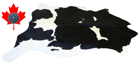200390- Cowhide Rug Tapis Peau de Vache SUPER BIG SIZE XXXL - Collection Quebecuir Premium