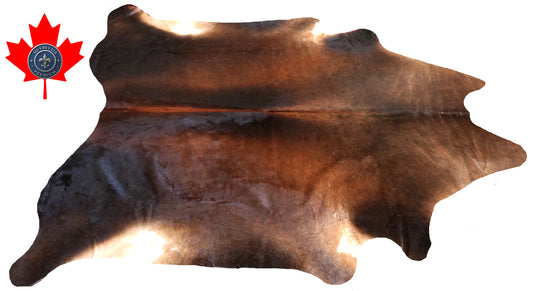 200391- Cowhide Rug Tapis Peau de Vache SUPER BIG SIZE XXXL - Collection Quebecuir Premium