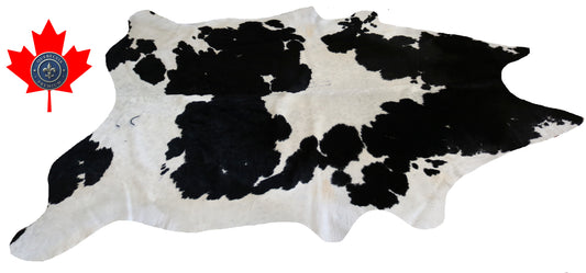 200393- Cowhide Rug Tapis Peau de Vache SUPER BIG SIZE XXXL - Collection Quebecuir Premium