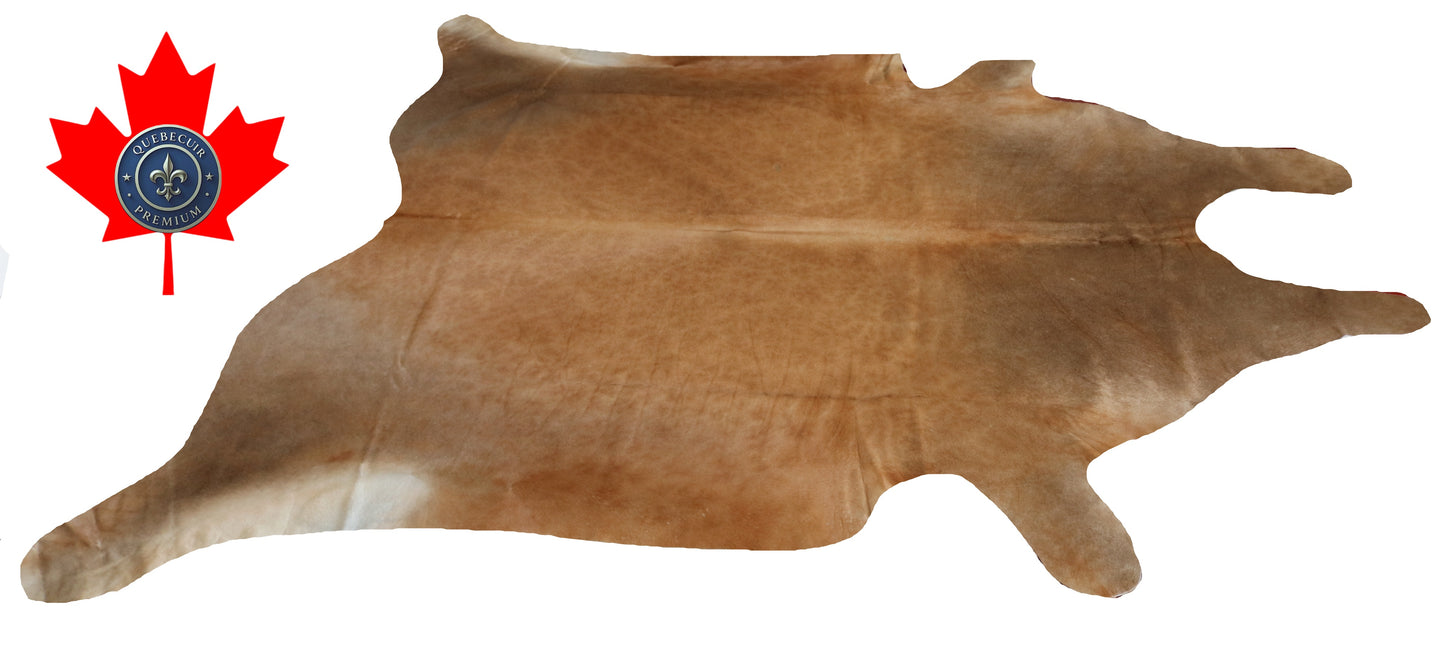 200395- Cowhide Rug Tapis Peau de Vache SUPER BIG SIZE XXXL - Collection Quebecuir Premium