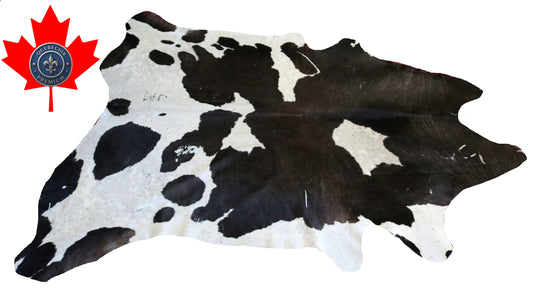 200398- Cowhide Rug Tapis Peau de Vache   Collection Quebecuir Premium