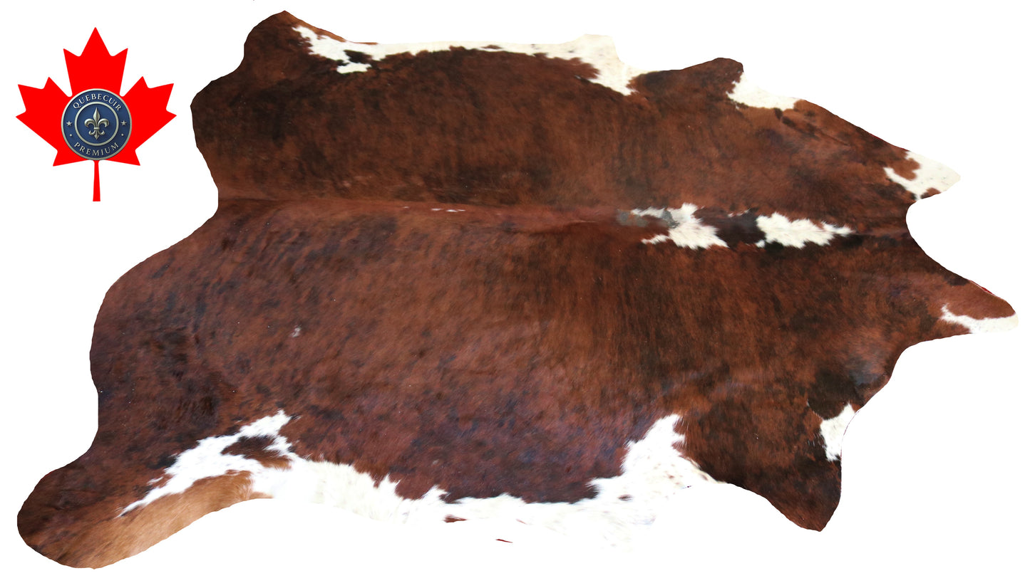 200401- Cowhide Rug Tapis Peau de Vache   Collection Quebecuir Premium