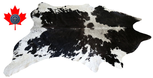200405- Cowhide Rug Tapis Peau de Vache  BIG SIZE XL - Collection Quebecuir Premium
