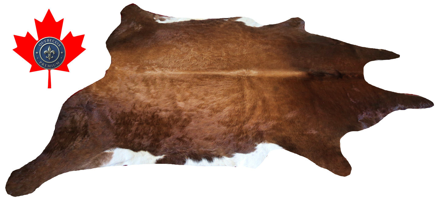 200406- Cowhide Rug Tapis Peau de Vache SUPER BIG SIZE XXXL - Collection Quebecuir Premium