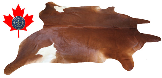 200407- Cowhide Rug Tapis Peau de Vache SUPER BIG SIZE XXXL - Collection Quebecuir Premium