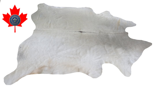 200422- Cowhide Rug Tapis Peau de Vache -BIG SIZE XL Collection Quebecuir Premium