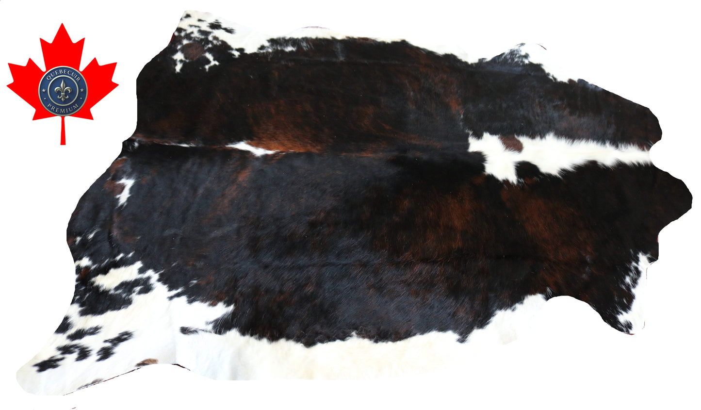 200423- Cowhide Rug Tapis Peau de Vache -BIG SIZE XL Collection Quebecuir Premium