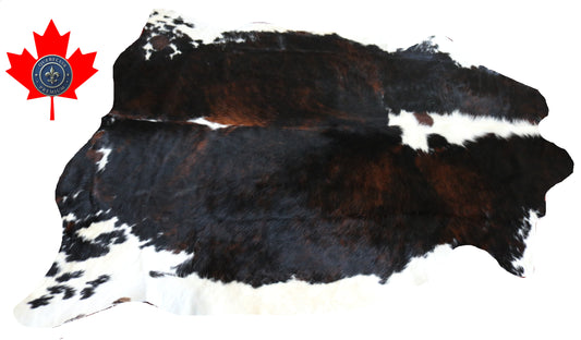 200423- Cowhide Rug Tapis Peau de Vache -BIG SIZE XL Collection Quebecuir Premium
