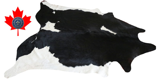 300006- Cowhide Rug Tapis Peau de Vache -BIG SIZE XL Collection Quebecuir Premium
